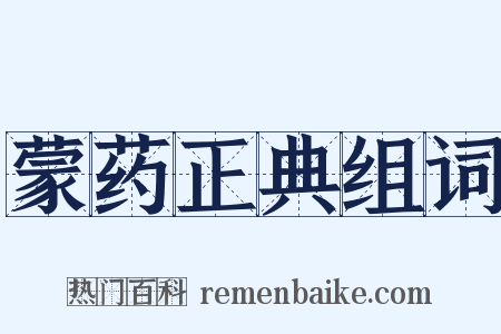 蒙药正典组词是什么意思的图片